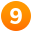 digit nine