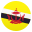 flag: Brunei