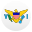flag: U.S. Virgin Islands