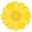 blossom