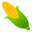 ear of corn