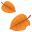 fallen leaf