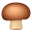 brown mushroom