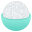 cooked rice