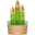 pine decoration