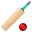 cricket game