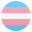 transgender flag
