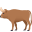 ox