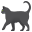 black cat