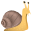 snail