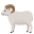 ram