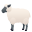 ewe