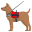 service dog