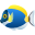 tropical fish