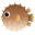 blowfish
