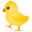 baby chick