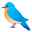 bird
