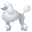 poodle