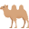 two-hump camel
