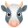 cow face