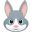rabbit face