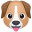dog face