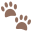 paw prints