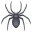 spider