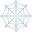 spider web