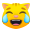 cat with tears of joy