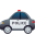 police car