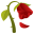 wilted flower