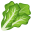 leafy green