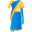 sari