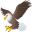 eagle