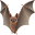 bat