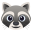 raccoon