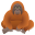 orangutan