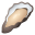 oyster