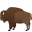 bison