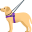 guide dog