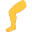 leg