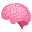 brain
