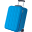 luggage