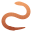 worm