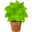 potted plant