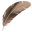 feather