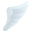wing