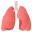 lungs