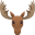 moose